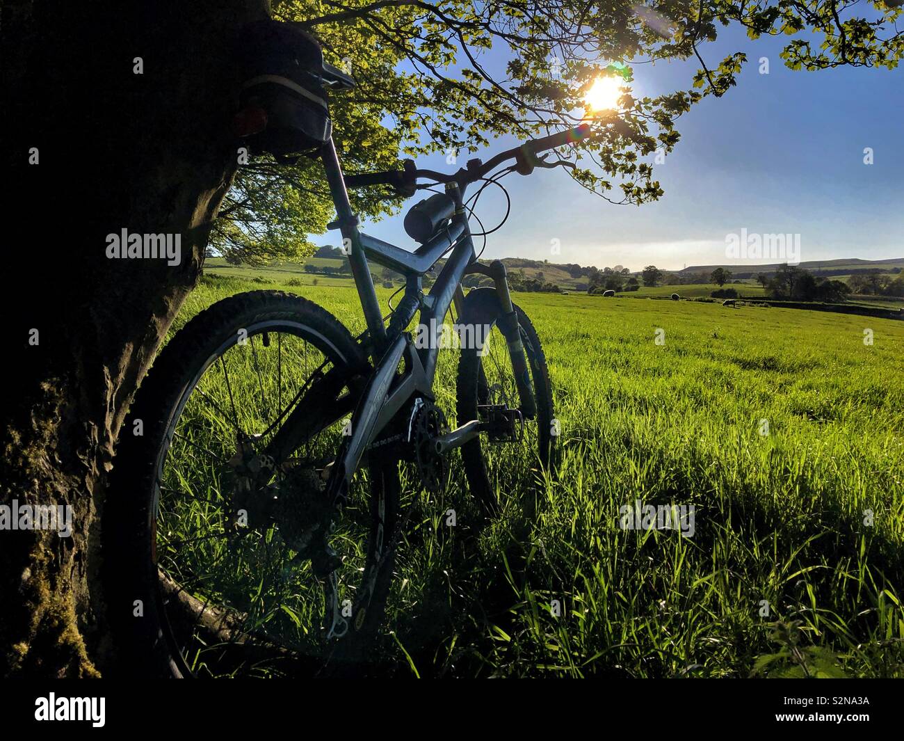 A mountain bike by a field on a summers evening - Smartphone Captured Stock Image