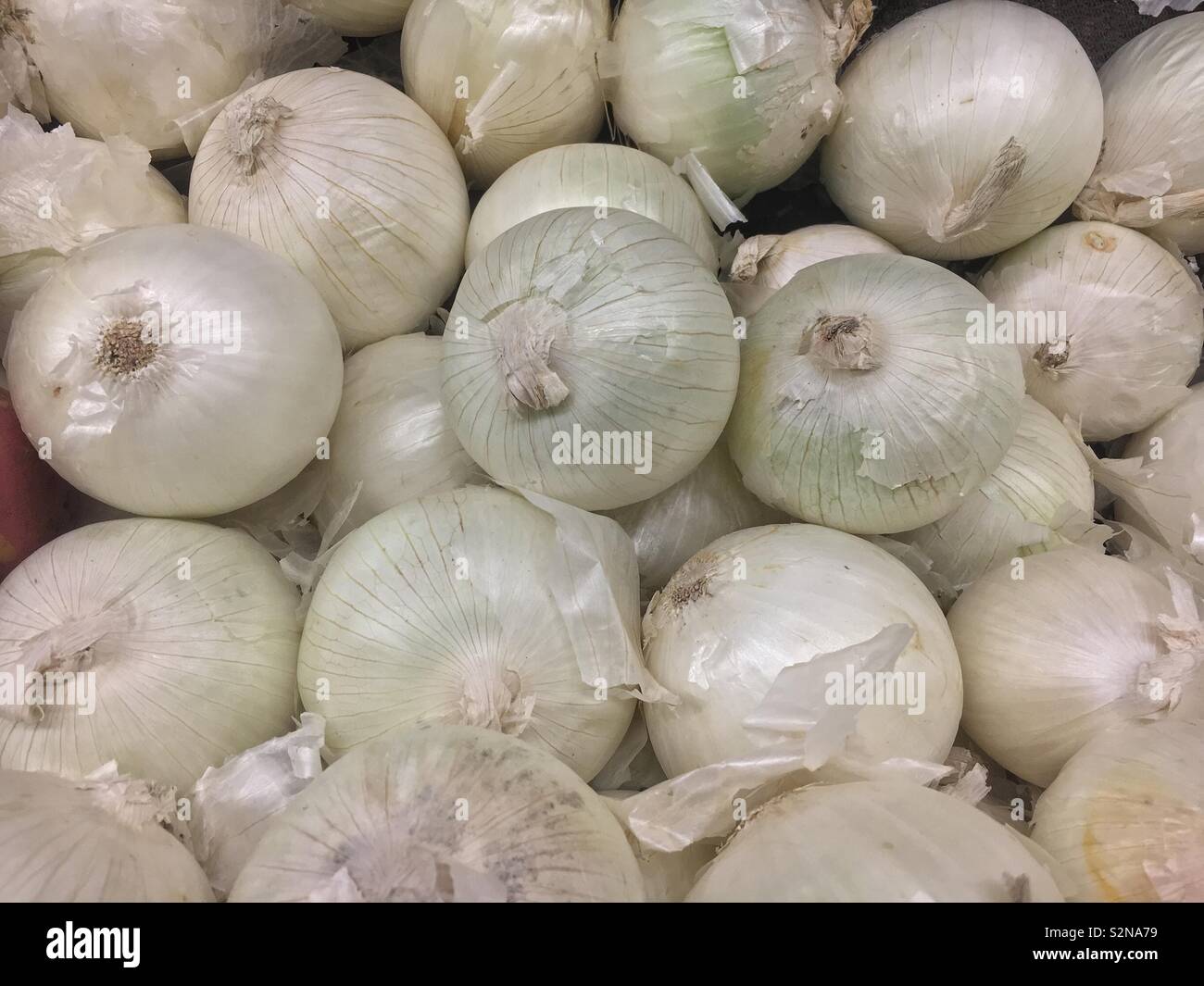 Raw white onions on display and for sale at the local produce market
