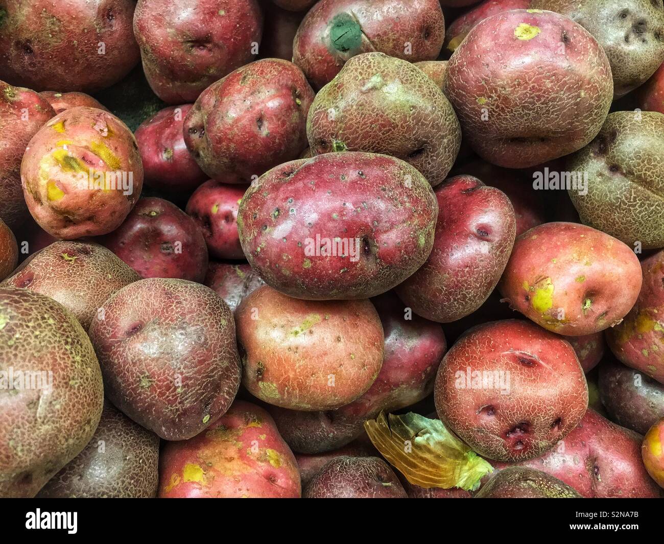 Raw perfect red potatoes on display and for sale at the local produce market. - Smartphone Captured Stock Image