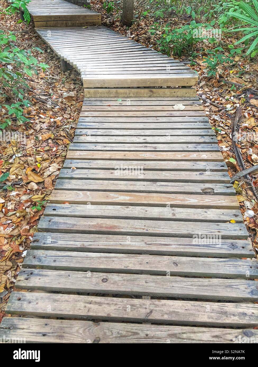 The way forward Stock Photo Alamy