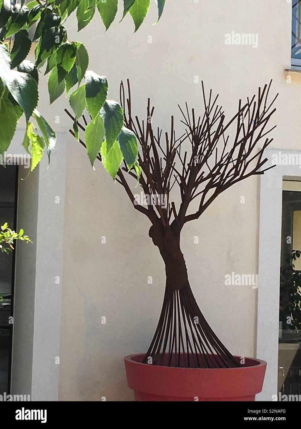 Tree sculpture in Grimaldi France Stock Photo