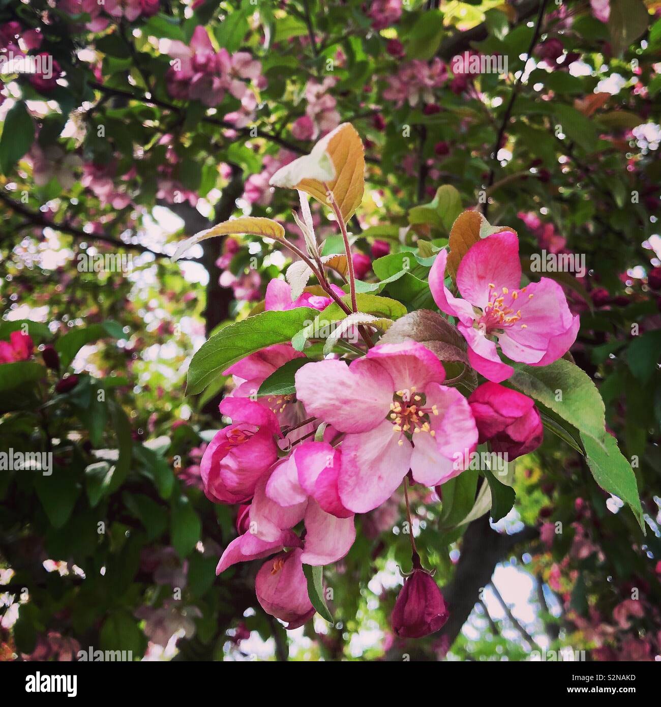 My Image 24