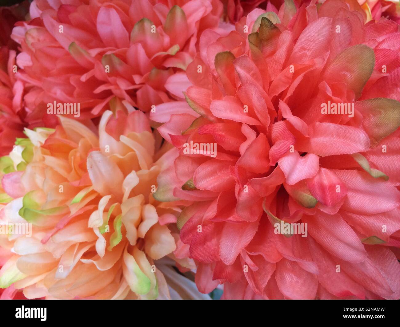 Blousy Flower High Resolution Stock Photography and Images - Alamy