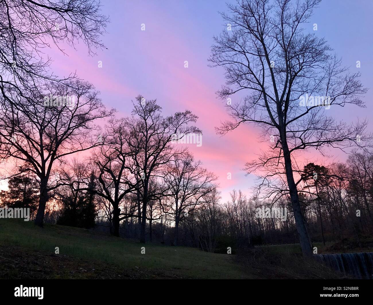 Bright pink sunset behind tree silhouettes in early spring Stock Photo