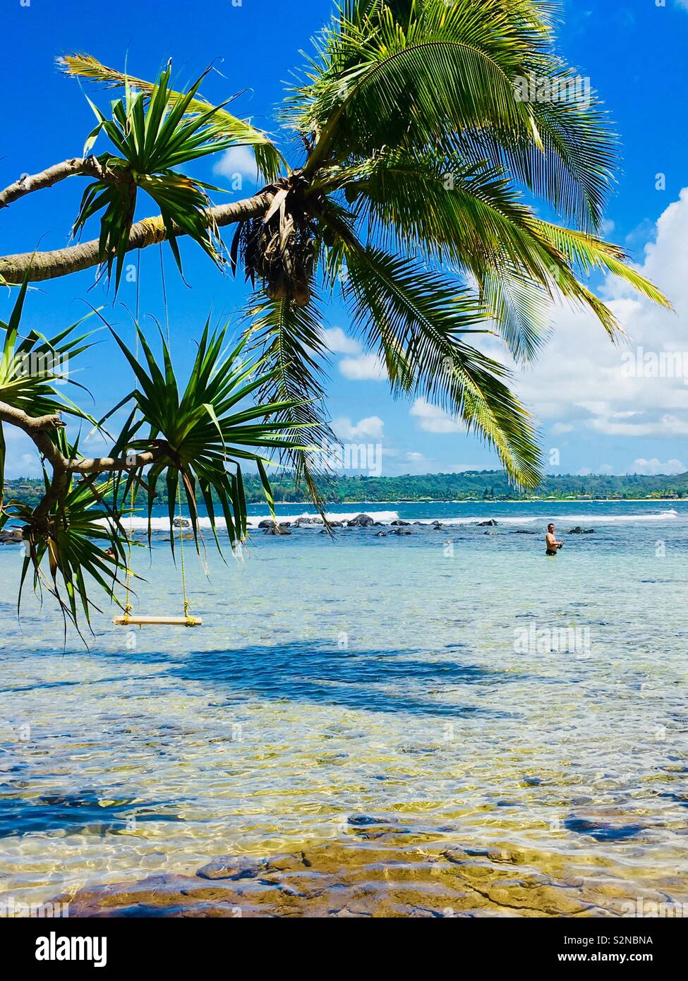 A man snorkeling in a clear ocean water in a beautiful island of Kauai with a coconut tree and a swing. Stock Photo