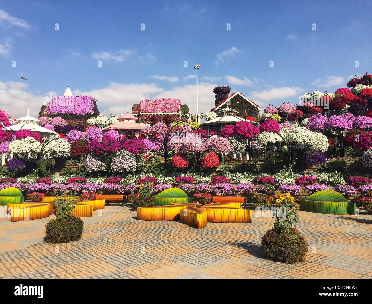 Miracle garden Dubai - Smartphone Captured Stock Image