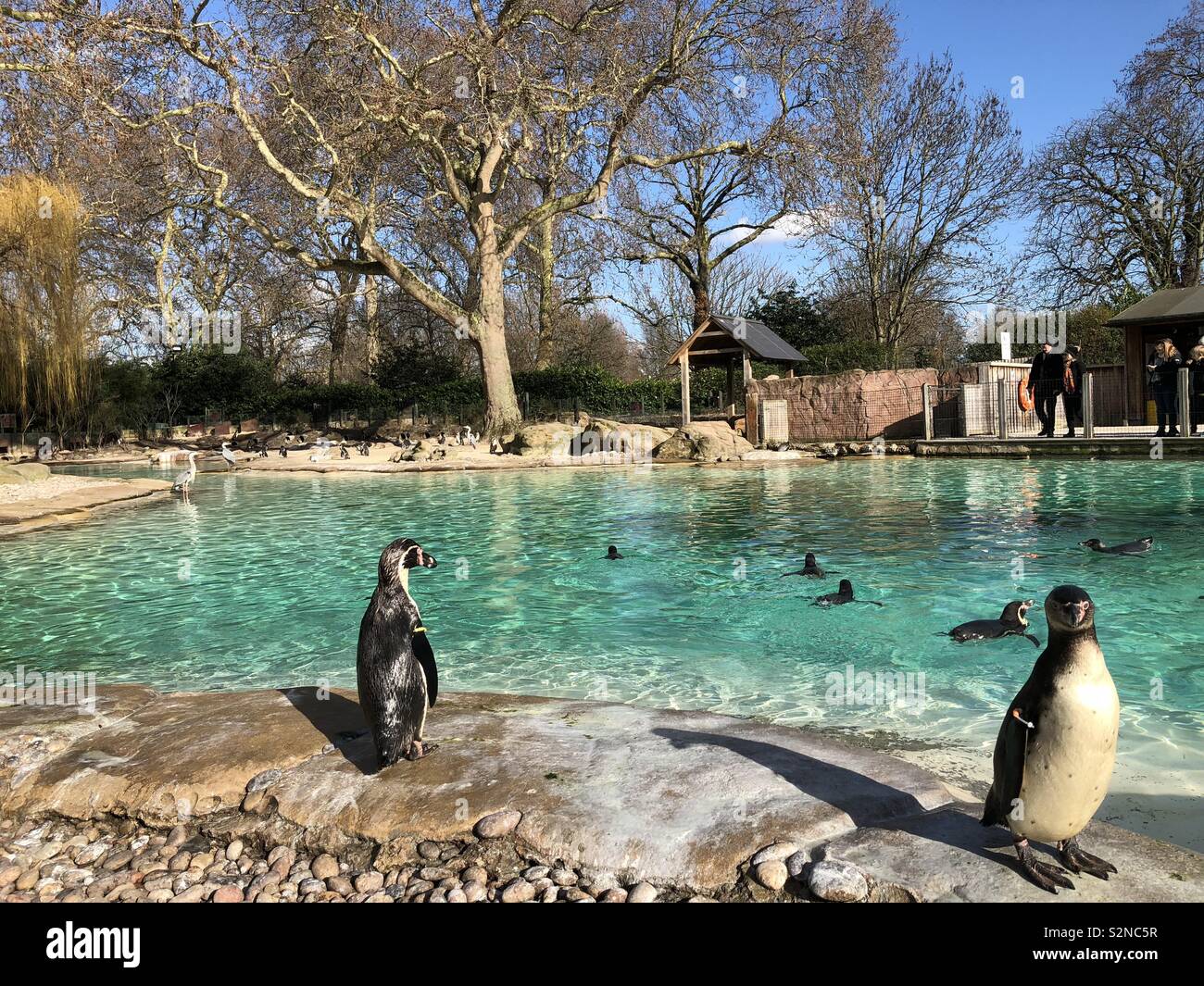 London zoo hi-res stock photography and images - Alamy