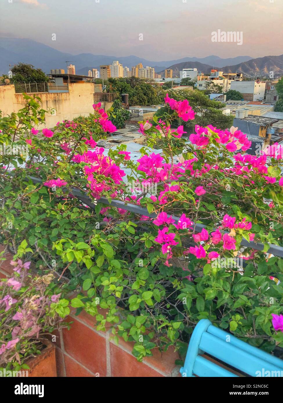 View of the Sierra Nevada from a rooftop patio in Santa Marta, Colombia Stock Photo Alamy