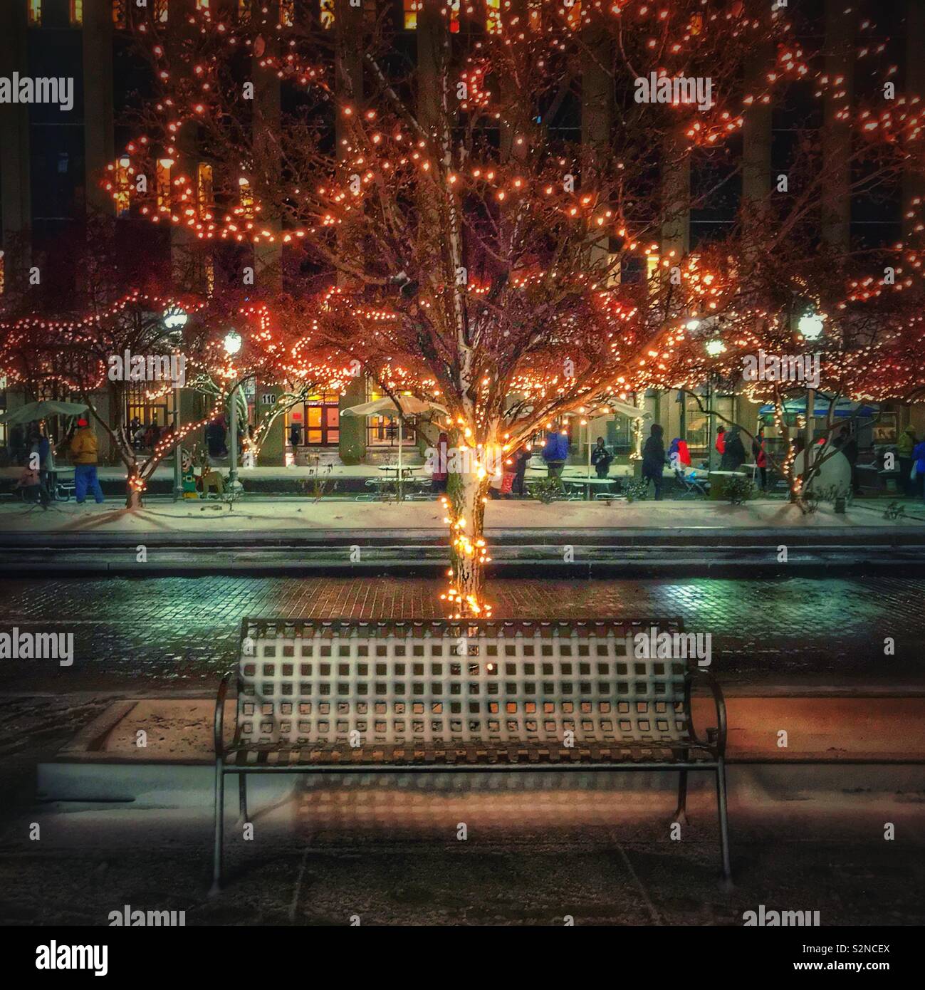 Downtown holiday street scene with bench and decorated tree - Smartphone Captured Stock Image