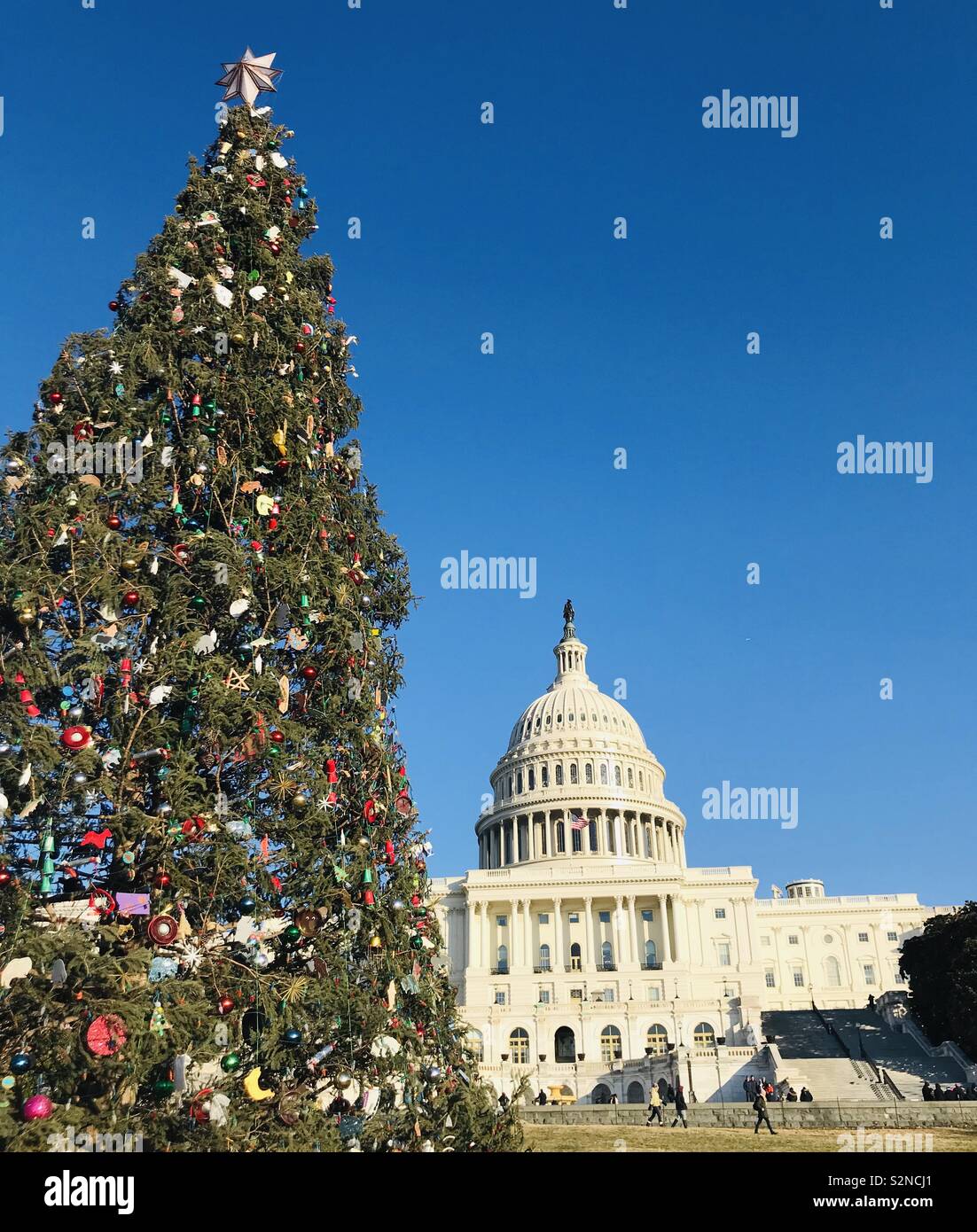 Christmas Tree and US Capital Stock Photo