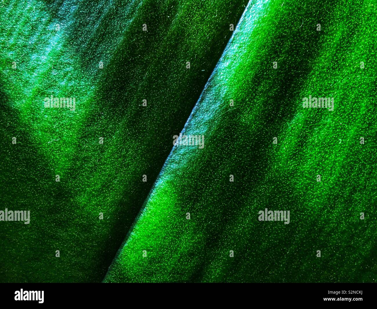 Closeup of green orchid leaf with lines of sun making an abstract pattern - Smartphone Captured Stock Image