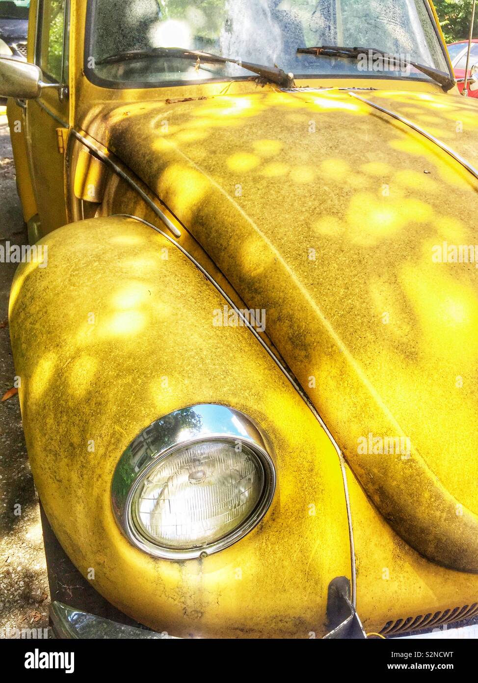 Yellow hotsell punch bug