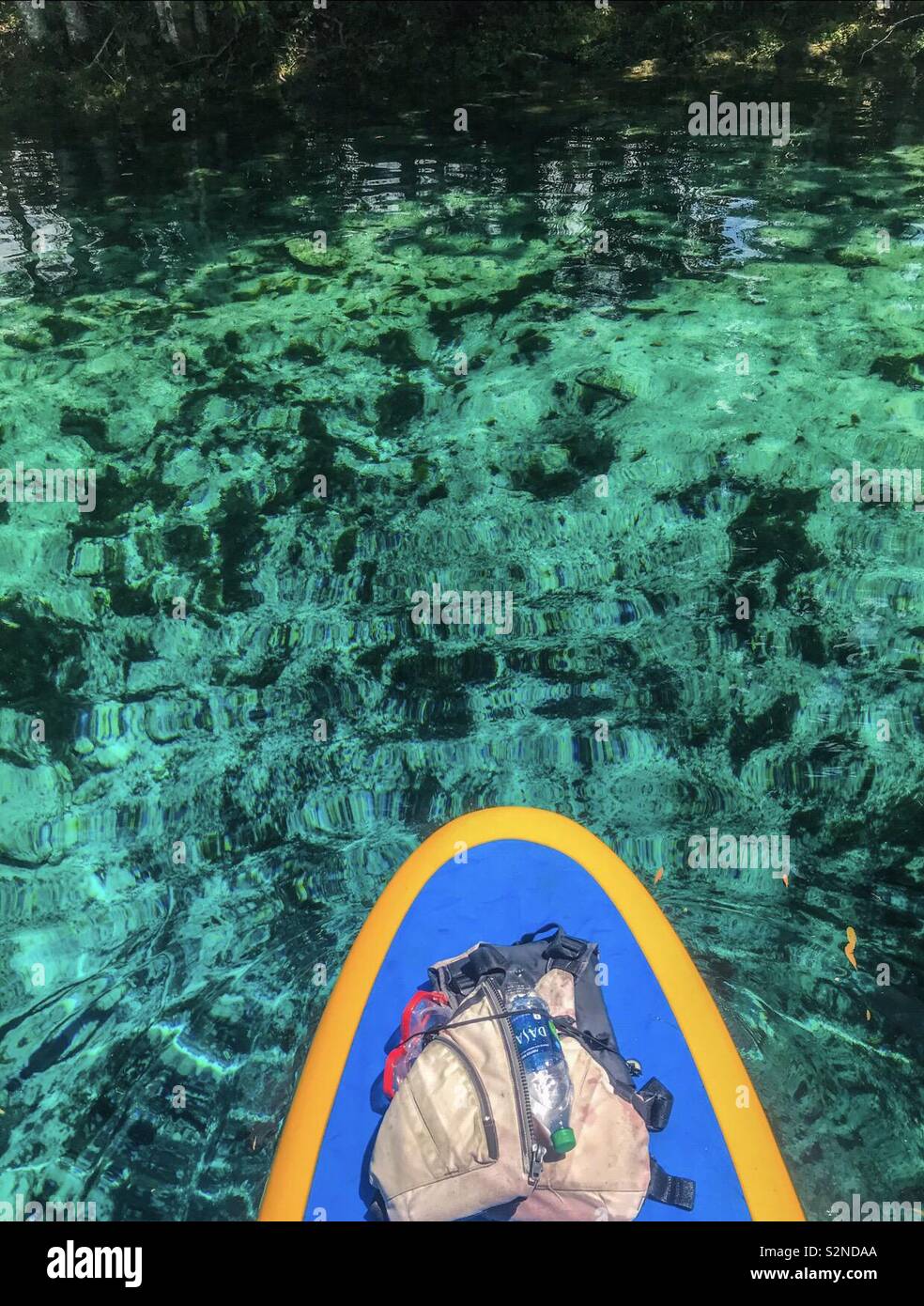 crystal river paddle board shot Stock Photo Alamy