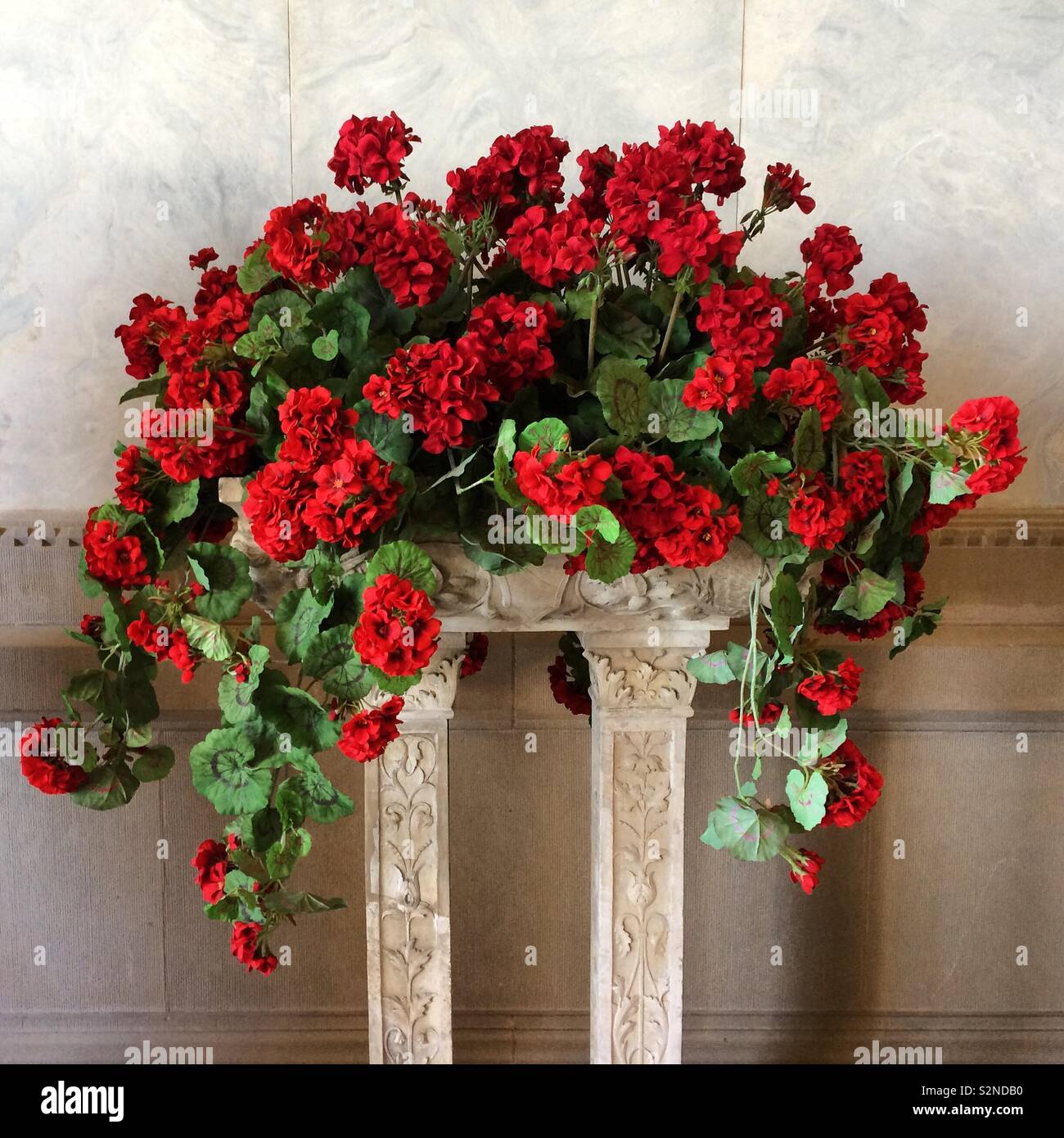 Flowers at The Breakers mansion, Newport, Rhode Island,United States - Smartphone Captured Stock Image