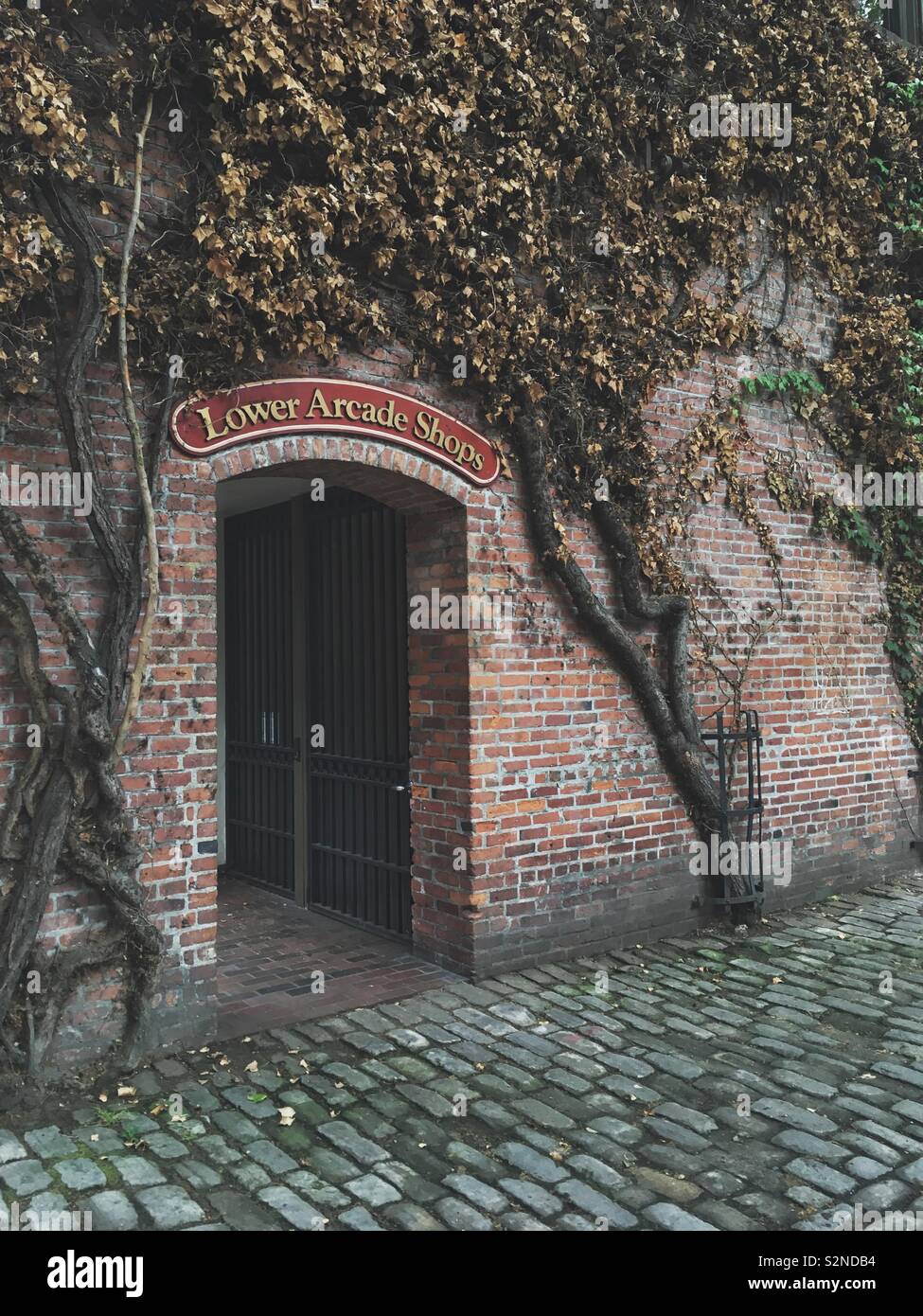 Brick wall covered with ivy. Lower arcade shop in Seattle, Washington, USA. - Smartphone Captured Stock Image