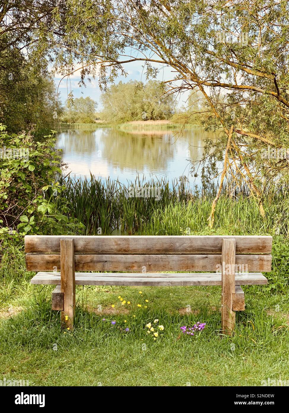 Memorial bench next to lake. Stock Photo