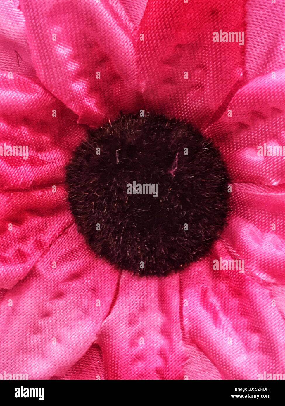Full frame closeup of a fake plastic pink daisy flower. Stock Photo