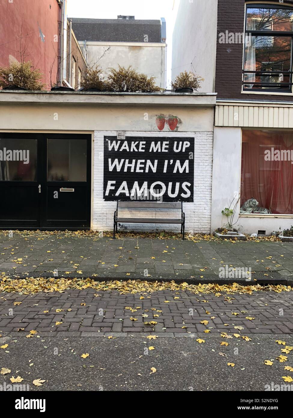 Im Up For It 
