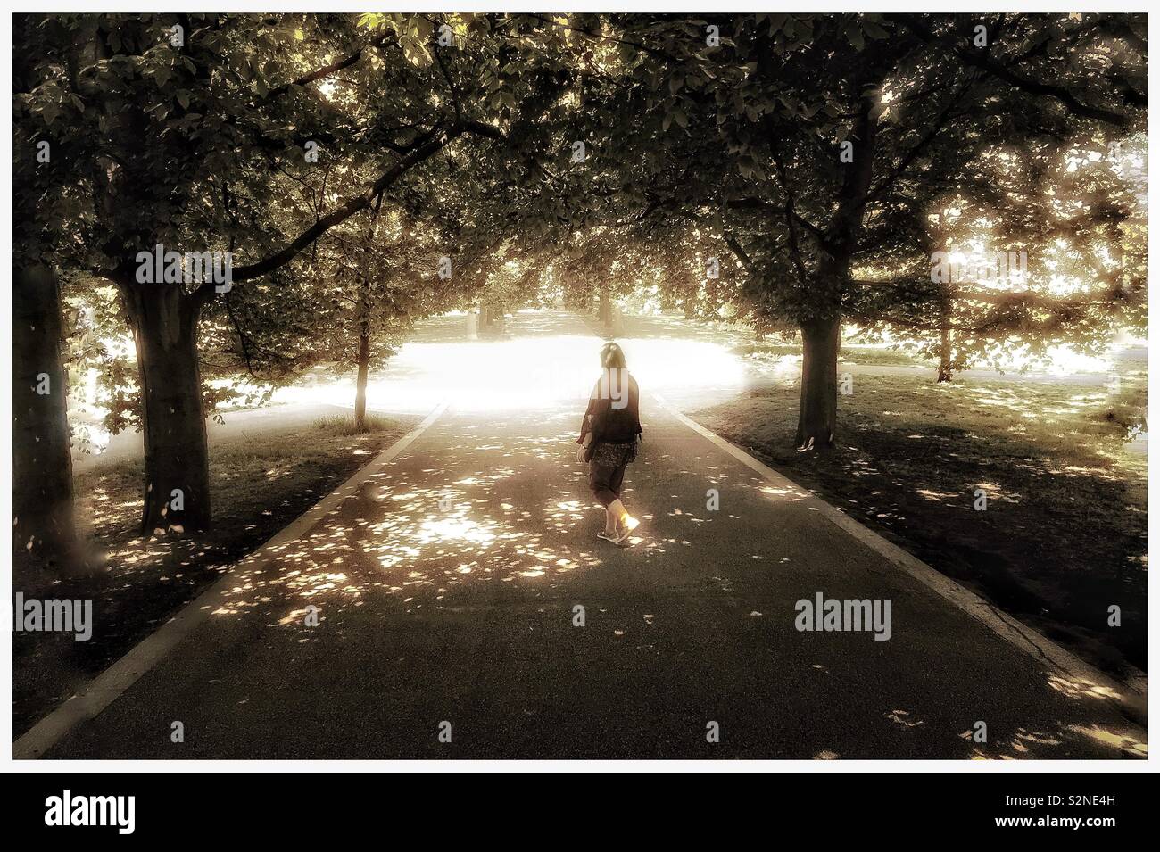 The figure in the woods - Smartphone Captured Stock Image The figure in the woods - Smartphone Captured Stock Image