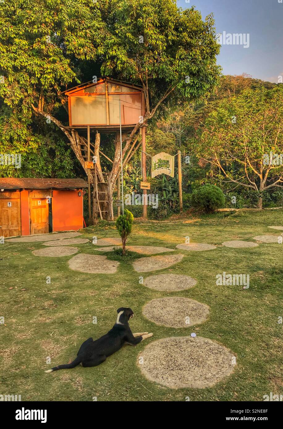 A peaceful jungle retreat in the Sierra Nevada mountains, Colombia. - Smartphone Captured Stock Image