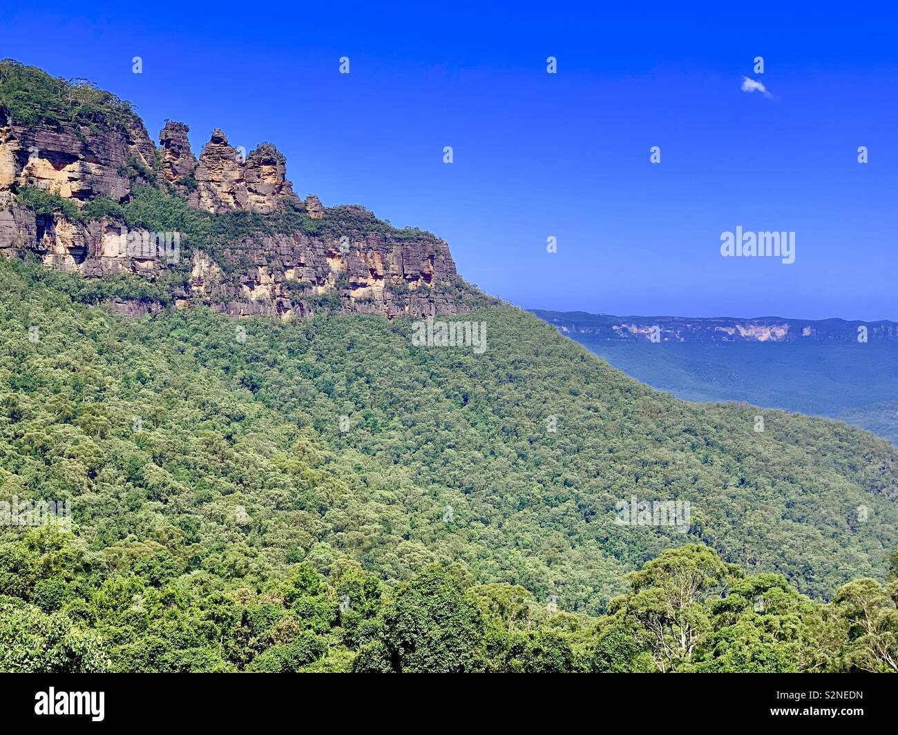 Blue Mountains National Forest, New South Wales, Australia. Stock Photo