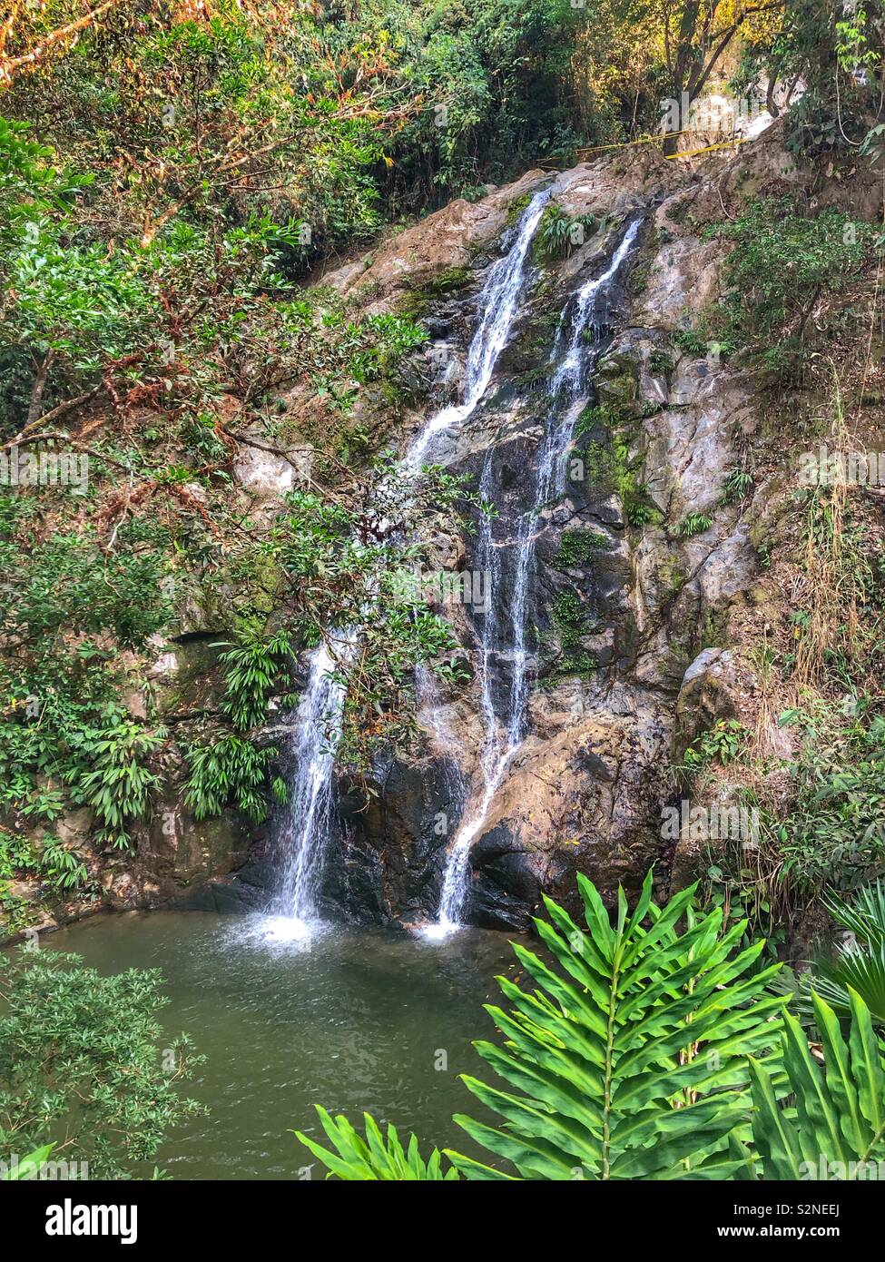 Small waterfall in the jungle, Sierra Nevada, Colombia. - Smartphone Captured Stock Image