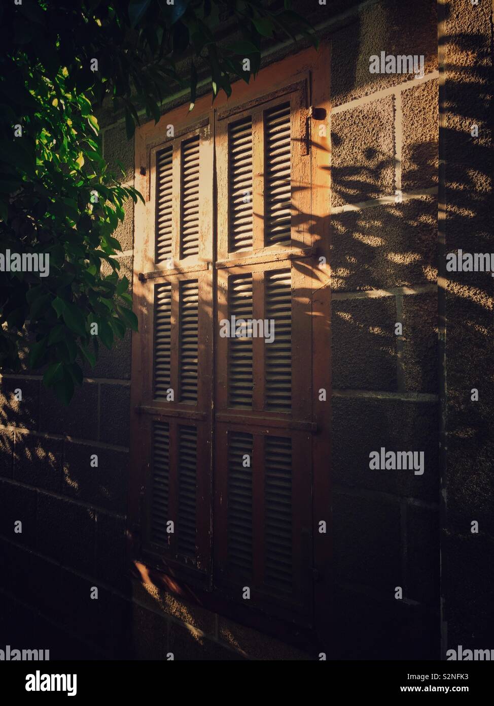 Leaves shadow over closed window shutters - Smartphone Captured Stock Image