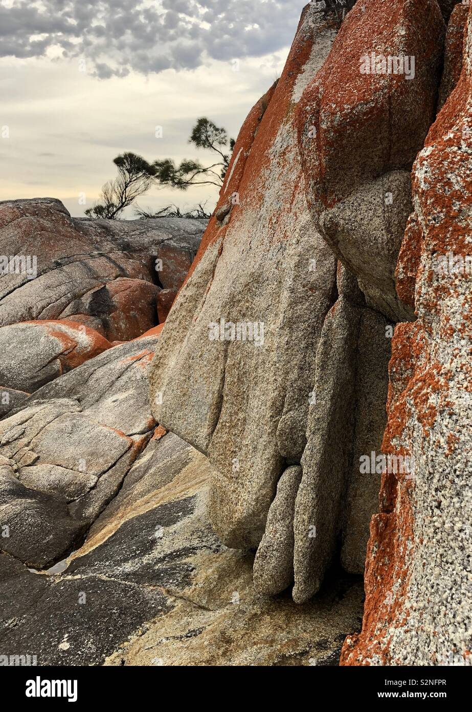 Amazing rock colours and textures on the east coast of Tasmania.  Art in nature. Stock Photo