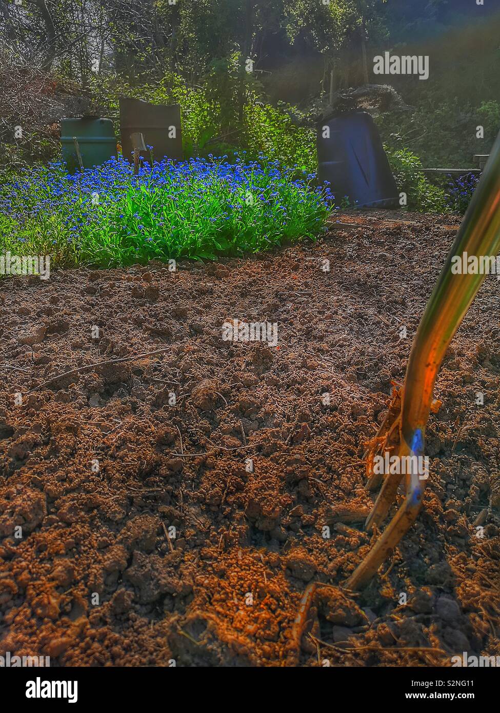 Fork in freshly dug soil in garden, England - Smartphone Captured Stock Image
