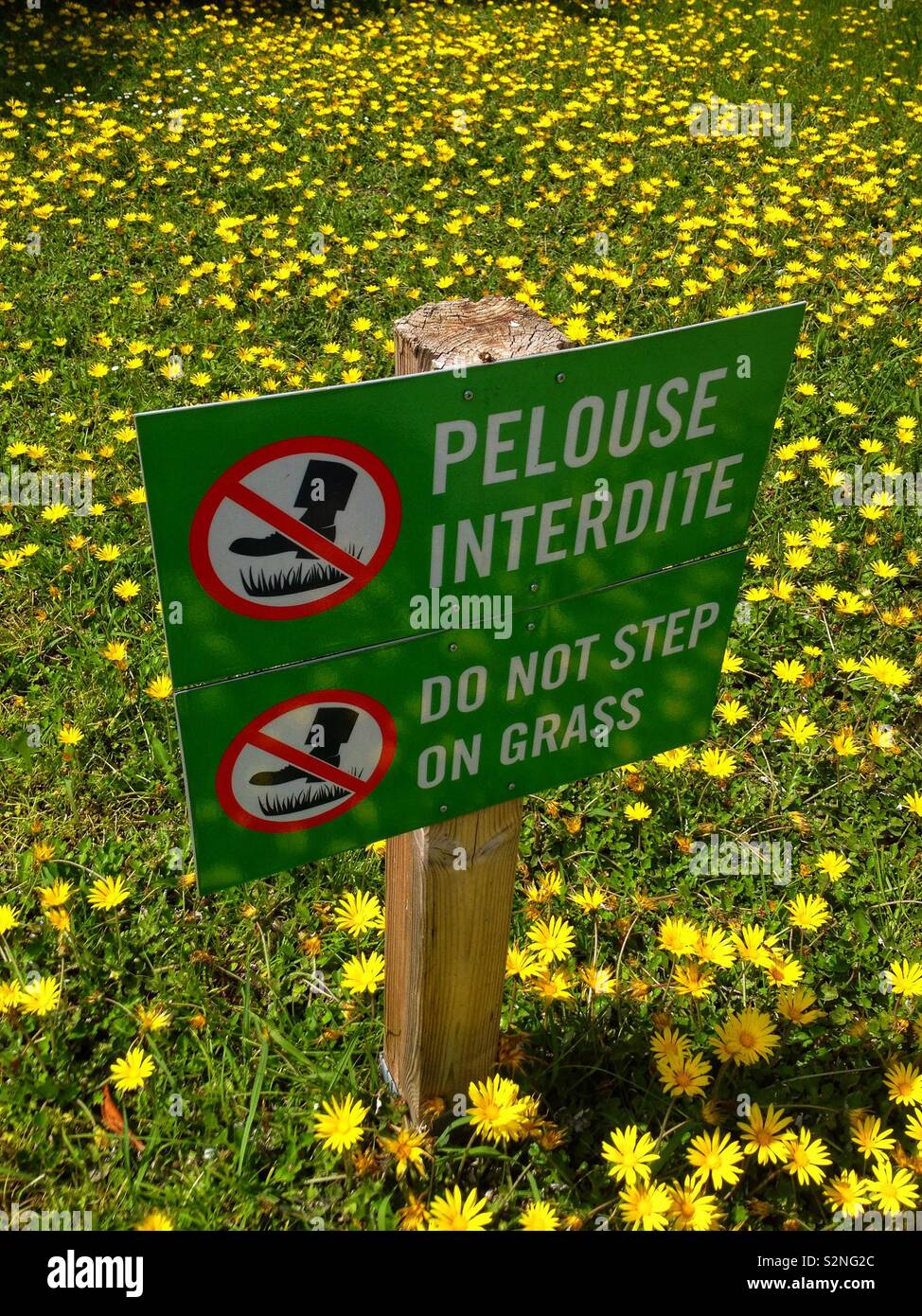 Do not step on grass - Smartphone Captured Stock Image