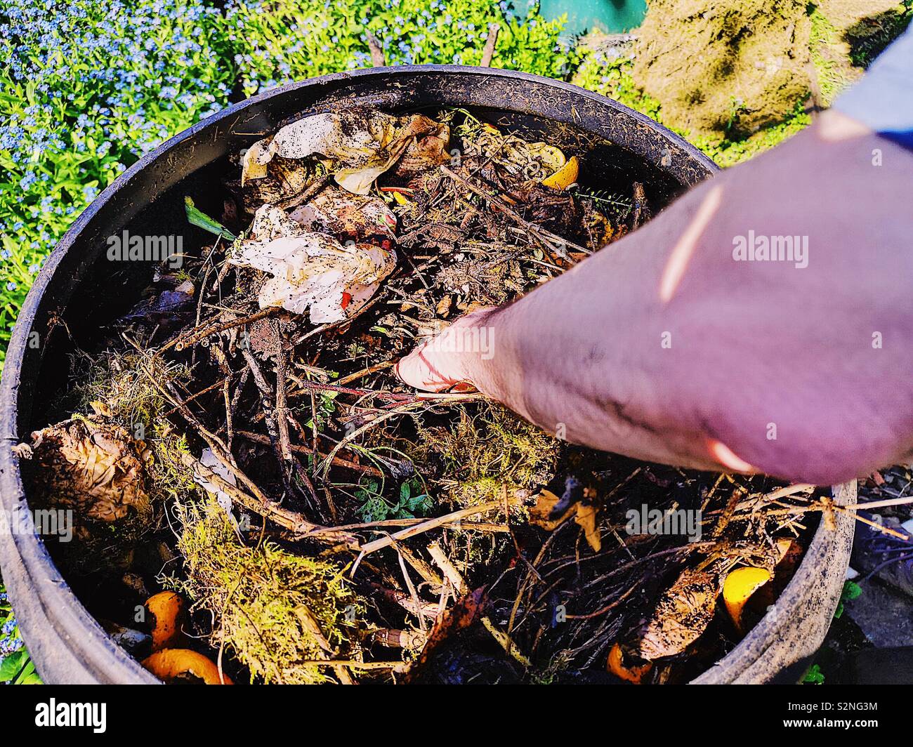 Close up of man’s hand in compost - Smartphone Captured Stock Image
