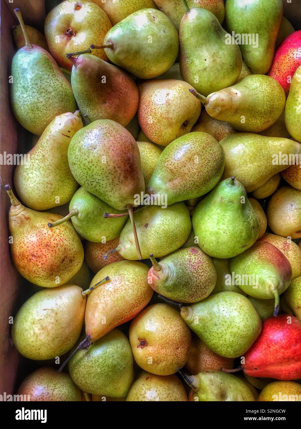 Pears, variety Forelle, on sale at a farm shop, UK. - Smartphone Captured Stock Image