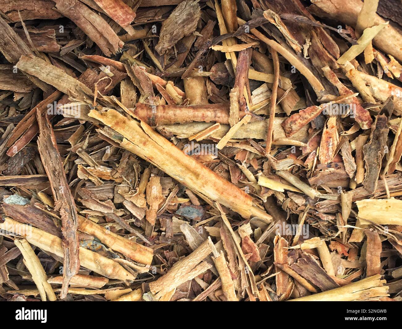 Full frame of dried Mexican cinnamon for sale as fresh produce. Stock Photo
