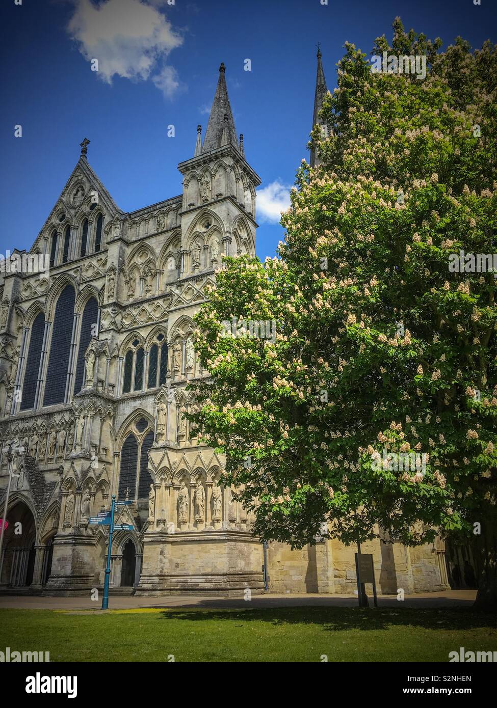 Salisbury cathedral from the grounds - Smartphone Captured Stock Image