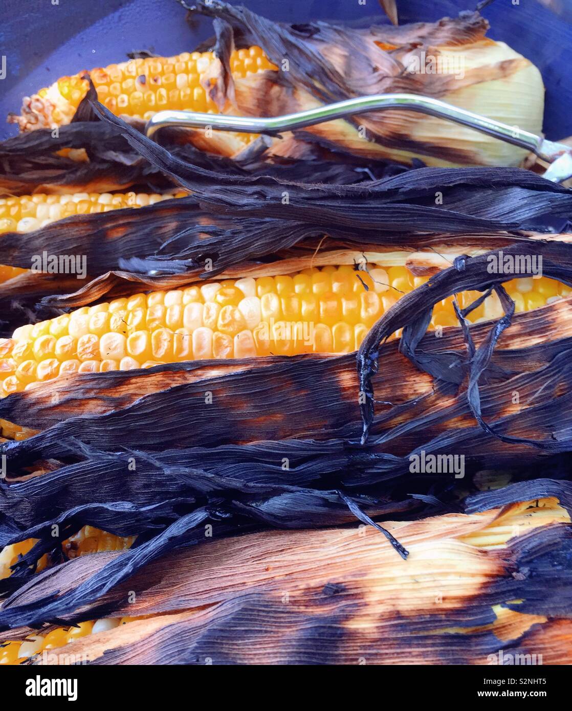 Fresh sweet corn in the husk on an outdoor grill, USA - Smartphone Captured Stock Image