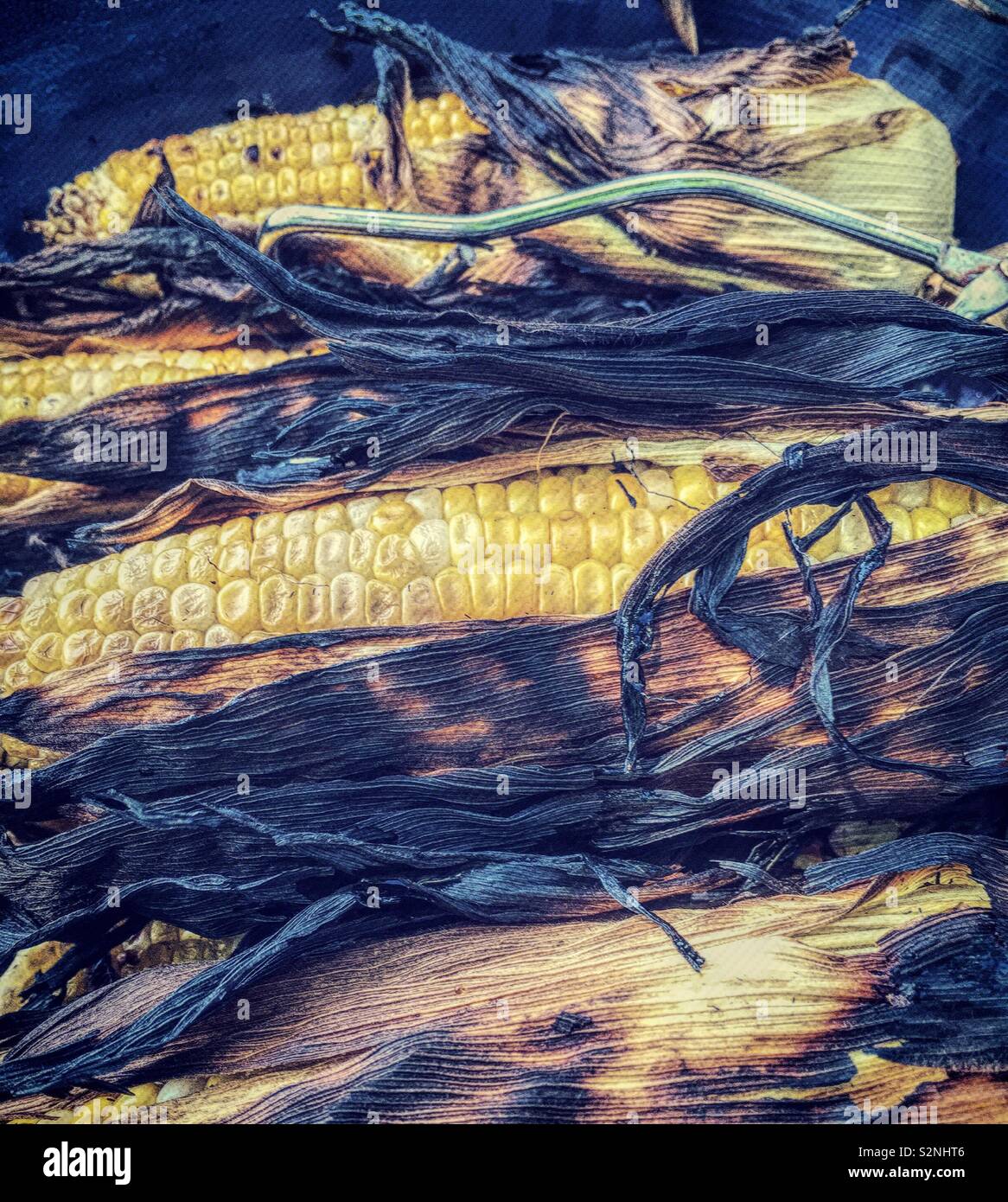 Corn - Smartphone Captured Stock Image