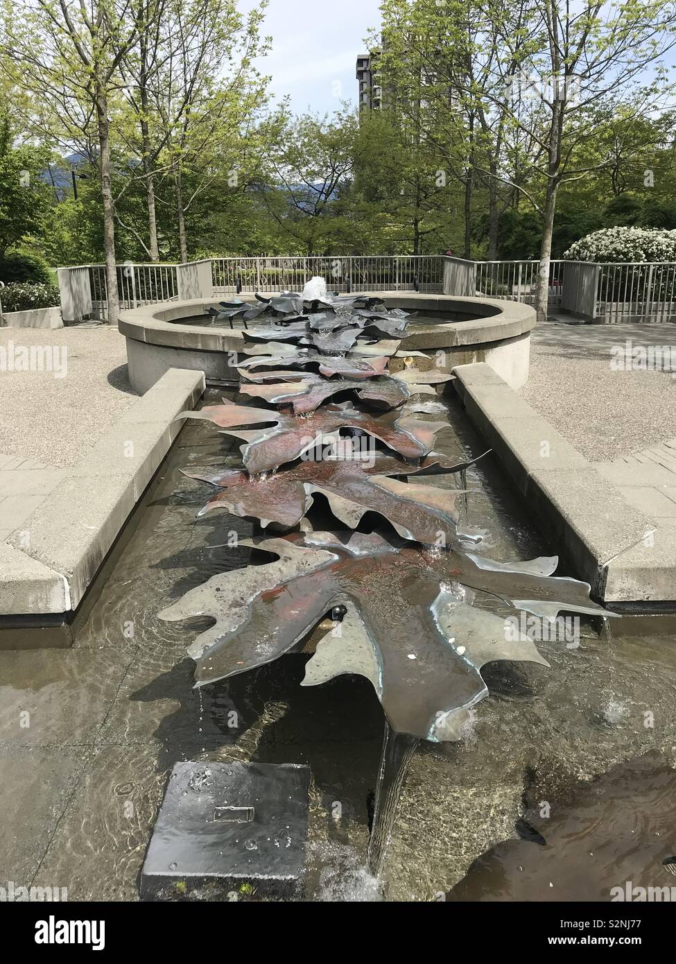 Maple waterfall - Smartphone Captured Stock Image