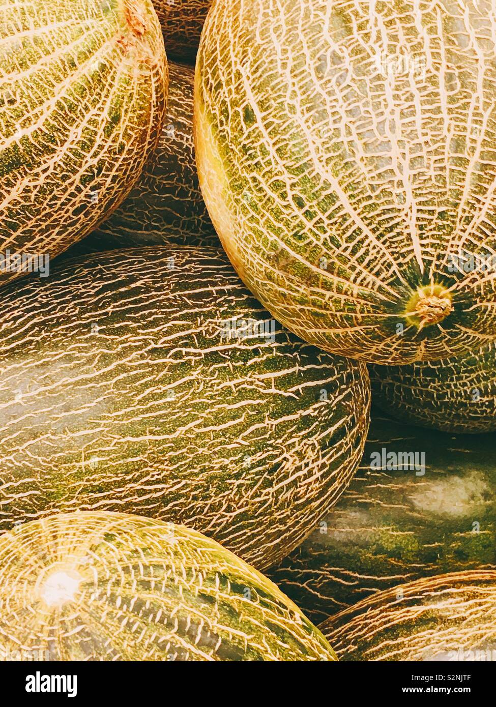 Fresh melons in the market Stock Photo Alamy