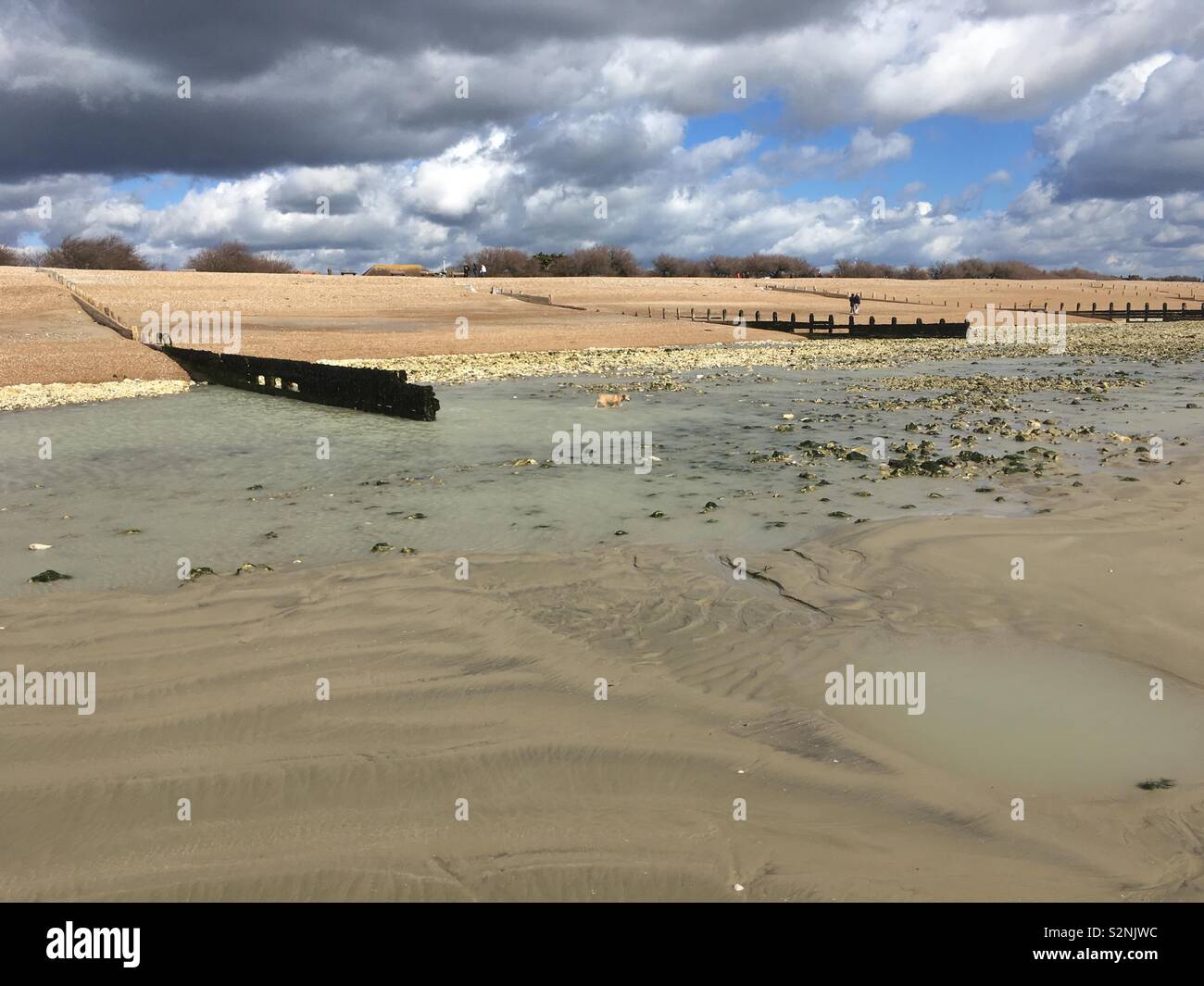 Looking At The Beach From The Seaside At Low Tide Goring Beach Sussex Stock Photo Alamy Looking At The Beach From The Seaside At Low Tide Goring Beach Sussex Stock Photo Alamy
