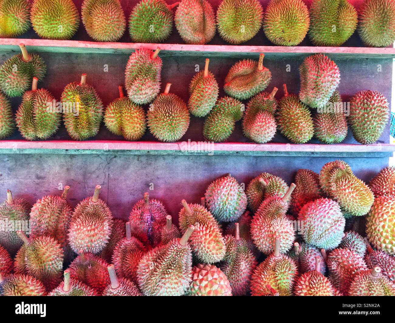 Durian fruit varieties Stock Photo Alamy