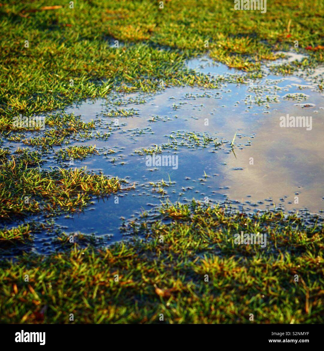 Grass is greener on the other side hires stock photography and images