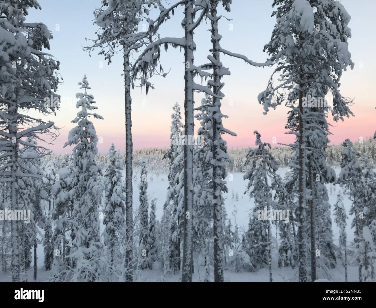 Beautiful snowy scenery in Swedish Lapland Stock Photo