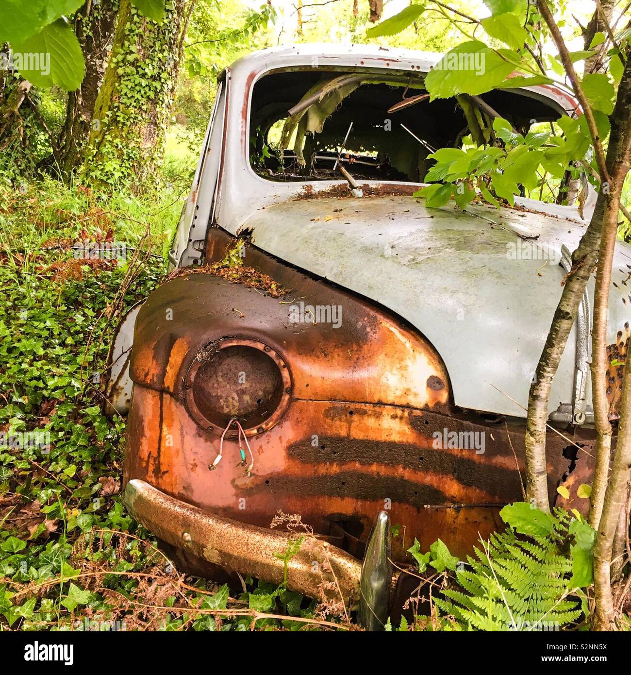 An abandoned car wreck in the forest - Smartphone Captured Stock Image