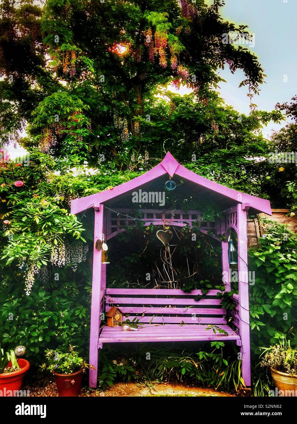 Garden bench and wisteria. - Smartphone Captured Stock Image