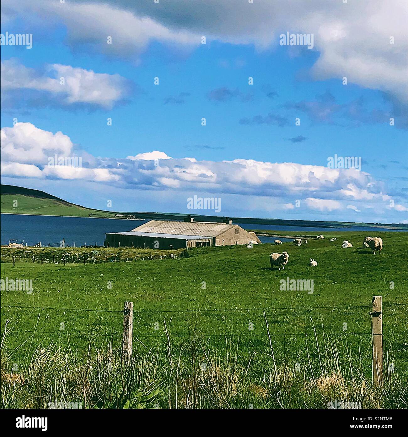 Room with a view - view from house in Tingwall, Orkney where sheep are the closest neighbours Stock Photo