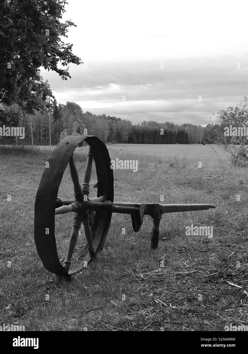 Old farmer tool. Iron wheel with handles. - Smartphone Captured Stock Image