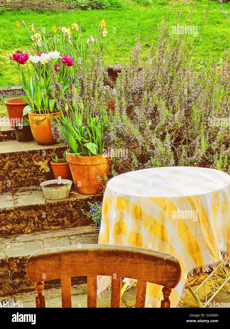 Chair and checked tablecloth in garden - Smartphone Captured Stock Image