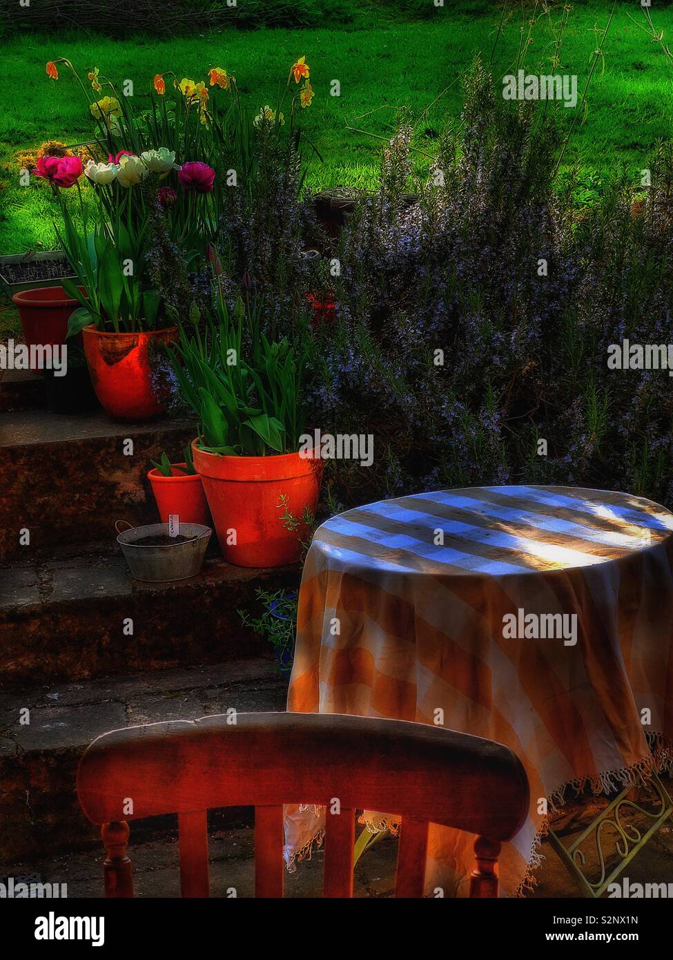 Atmospheric garden scene with yellow and white checked tablecloth, chair and pot plants - Smartphone Captured Stock Image