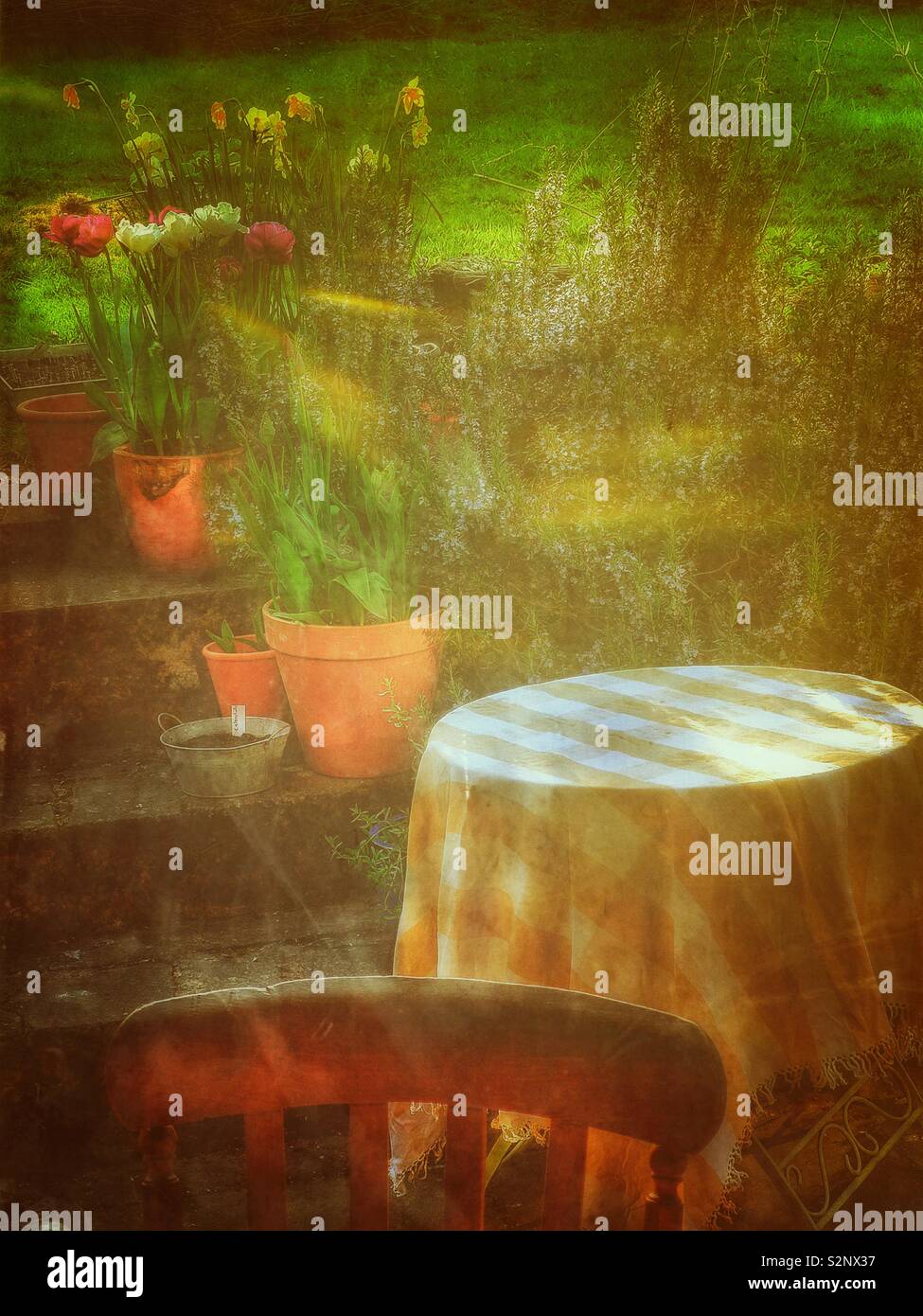 Garden solitude - Smartphone Captured Stock Image