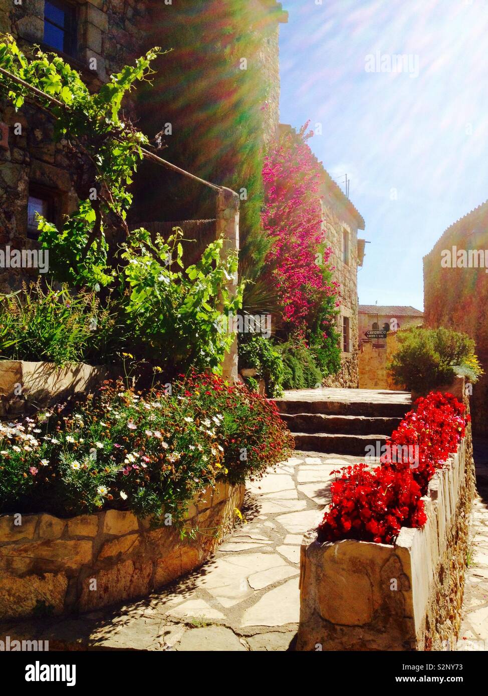 Garden in Pals medieval town. Catalonia. Spain - Smartphone Captured Stock Image